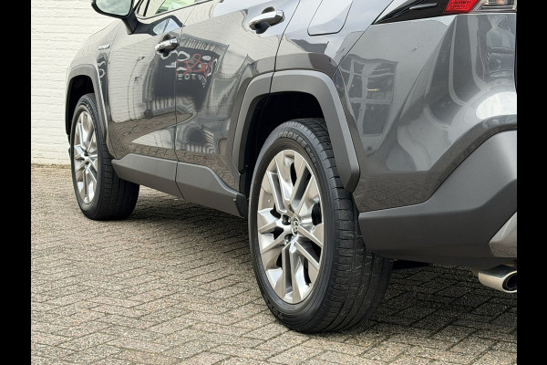 Toyota RAV4 2.5 Hybrid 360 Camera Navi Stoel-Ventilatie/Verwarming Memory Seats DAB+ Trekhaak Leder