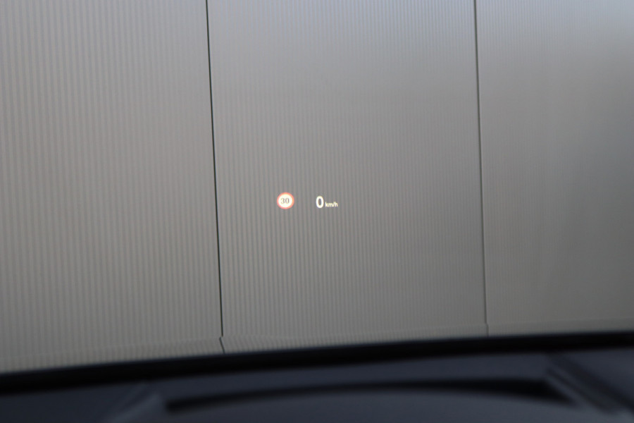 BMW X2 sDrive20i Business Ed. Plus Pano-dak/Leder/20-Inch/Stoelverwarming/Keyfree