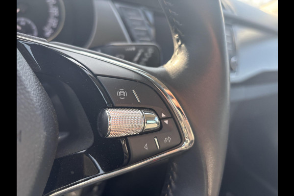 Škoda Fabia 1.0 TSI Business Edition |SCI| Bellen voor bezichtiging| 42.000 km | Navigatie | L.M. velgen.