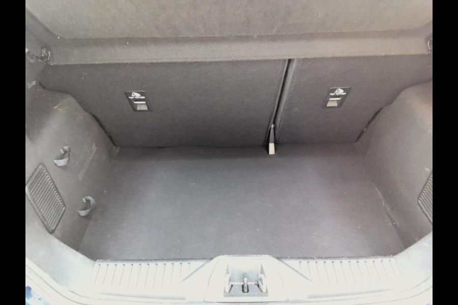 Ford Fiesta 1.0 EcoBoost Titanium | 21700 KM!!! | Winterpack | Verwacht!