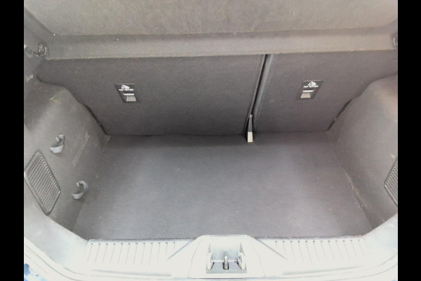 Ford Fiesta 1.0 EcoBoost Titanium | 21700 KM!!! | Winterpack | Verwacht!