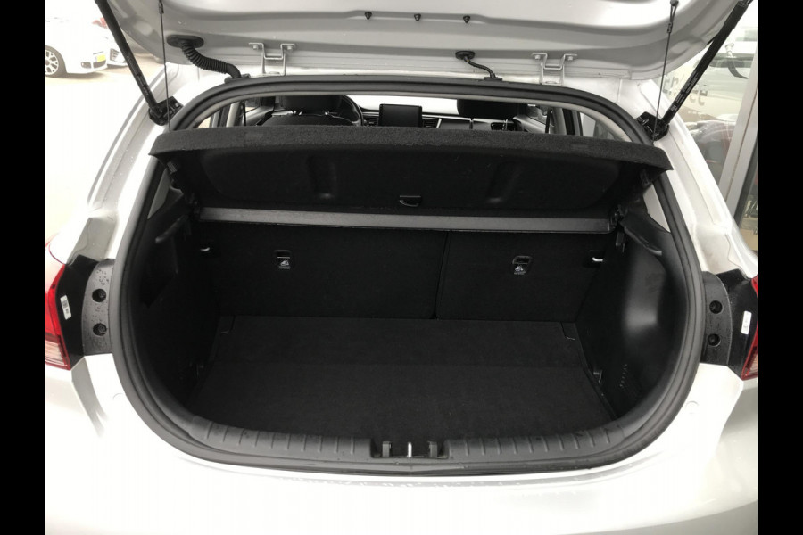 Kia Rio 1.0 MHEV DynamicPlusLine 7 JAAR GARANTIE