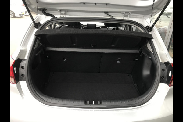 Kia Rio 1.0 MHEV DynamicPlusLine 7 JAAR GARANTIE