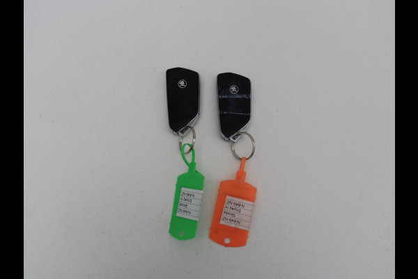 Škoda ENYAQ iV 80 Founders Edition Silver | SOH 90% | Trekhaak | Matrix LED | Carplay | Camera | Stuurverwarming | Keyless | Navigatie