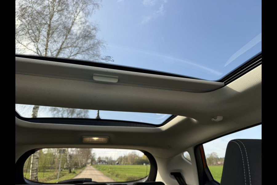 Ford Fiesta 1.0 EcoBoost Vignale | PANORAMADAK | AUTOMAAT | TREKHAAK | CAMERA | PDC | LMV |
