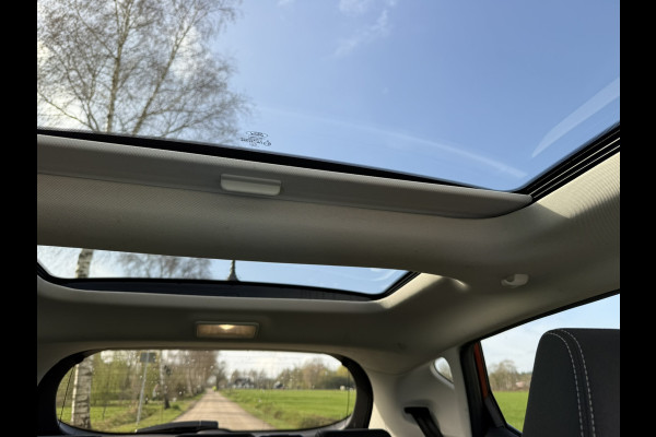 Ford Fiesta 1.0 EcoBoost Vignale | PANORAMADAK | AUTOMAAT | TREKHAAK | CAMERA | PDC | LMV |