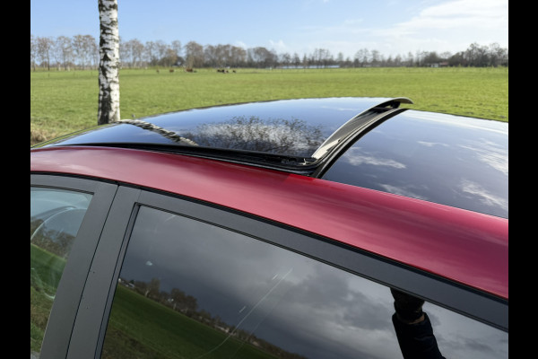 Ford Fiesta 1.0 EcoBoost Vignale | PANORAMADAK | AUTOMAAT | TREKHAAK | CAMERA | PDC | LMV |
