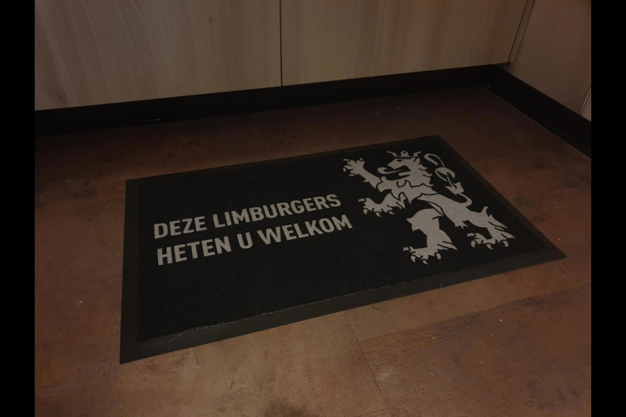 MINI Mini Electric Yours 33 kWh / NAP / 1 EIGENAAR / DEALER ONDERH. / STOELVERW. / CAMERA / KEYLESS / LEDER / PANO / DAB+ / HUD !