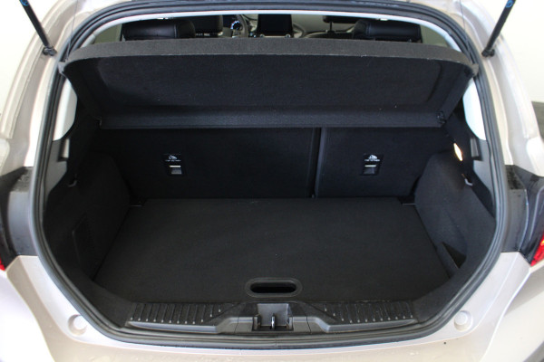 Ford Fiesta 1.0 EcoBoost Vignale |Pano|Stoel/stuur verw.|Camera|