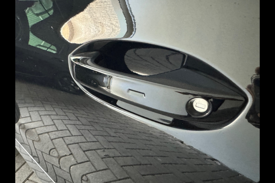 CUPRA Formentor 1.5 TSI Pano|Beats|Keyles|Sfeer|Memory|Leer