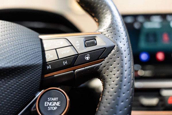 CUPRA Formentor 1.4 e-Hybrid VZ Performance Pano PDC CUPRA-MODUS LEDER