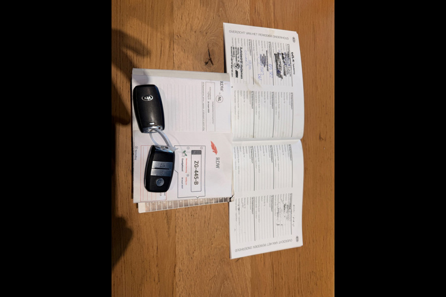 Kia Niro 1.6 GDi Hybrid DynamicPlusLine Camera Leer Navigatie Trekhaak Lm Velgen