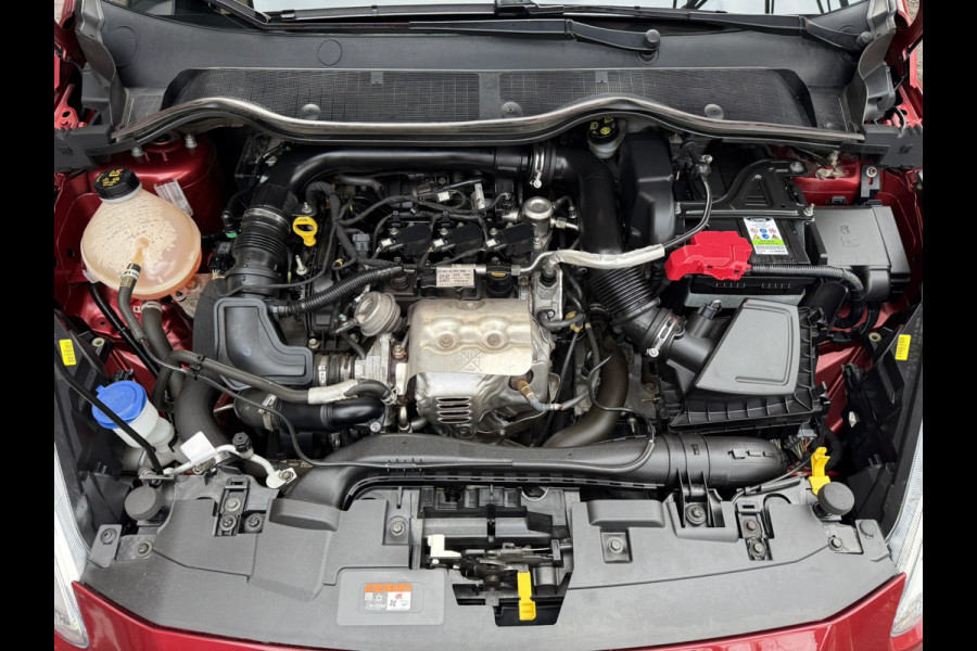 Ford Fiesta 1.0 EcoBoost Vignale | PANORAMADAK | AUTOMAAT | TREKHAAK | CAMERA | PDC | LMV |