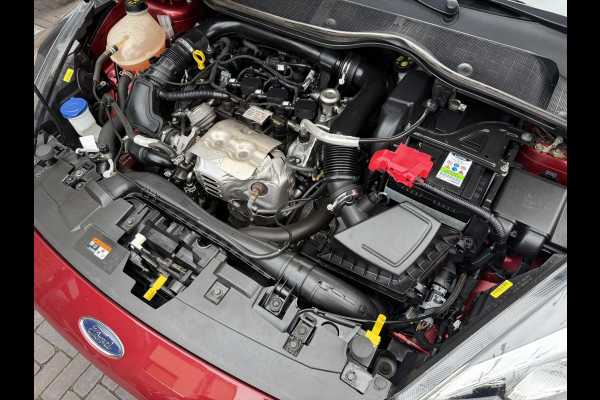 Ford Fiesta 1.0 EcoBoost Vignale | PANORAMADAK | AUTOMAAT | TREKHAAK | CAMERA | PDC | LMV |