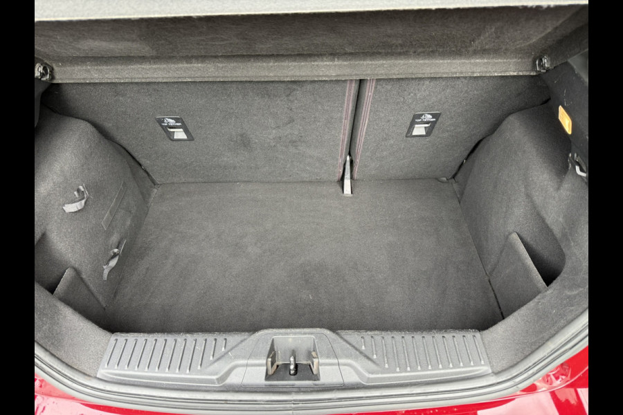Ford Fiesta 1.0 EcoBoost Vignale | PANORAMADAK | AUTOMAAT | TREKHAAK | CAMERA | PDC | LMV |