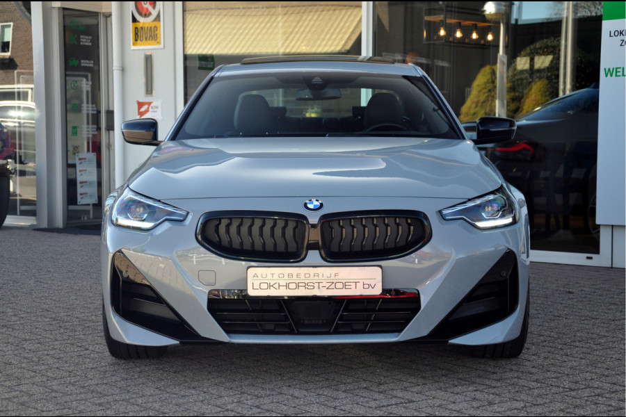 BMW 2 Serie Coupé 220i High Executive | Brooklyn Grey | Schuifdak