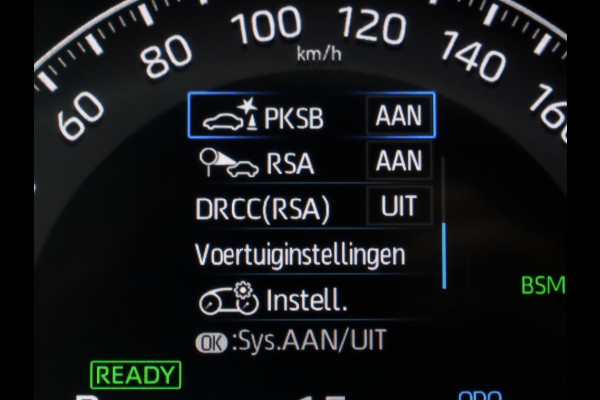 Toyota RAV4 2.5 Hybrid AWD Executive | JBL | 360 Camera | Leder