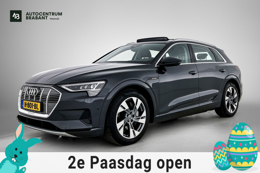 Audi e-tron E-tron 50 quattro Launch edition plus 71 kWh (PANORAMADAK, Soh 97%, MEMORY SEATS, STOELVERWARMING, CARPLAY)