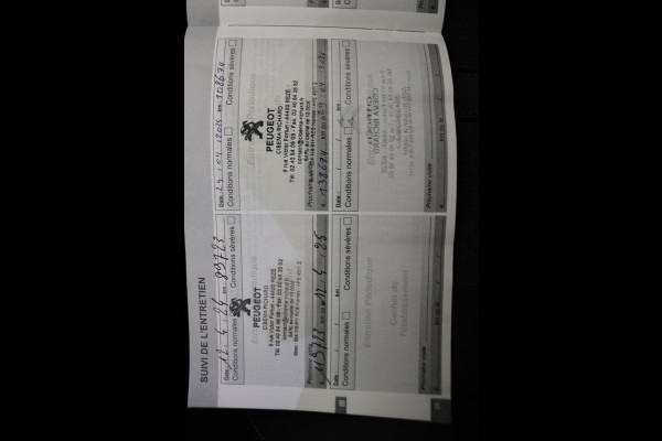 Peugeot 3008 1.6 PureTech GT Line |Navi|Camera| *Pasen Geopend!*