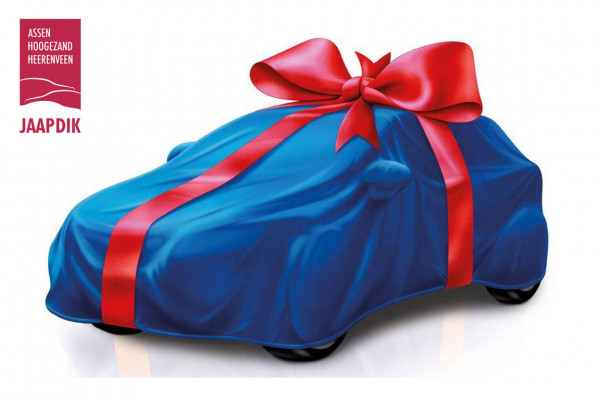 Škoda ENYAQ iV BWJ 12-2021 | 60 SOH90% 180PK | TREKHAAK | CAMERA A | CARPLAY | PRIVACY GLASS | STOELVERW | NAVI | CLIMA | PDC V+A |