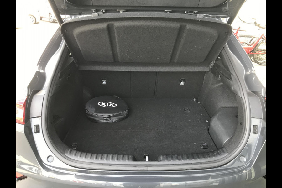 Kia Xceed 1.6 PHEV ExecutiveLine 7 JAAR GARANTIE