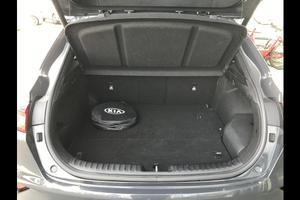 Kia Xceed 1.6 PHEV ExecutiveLine 7 JAAR GARANTIE