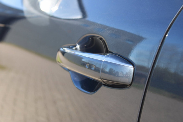 Renault Mégane 1.2 TCe GT-Line Automaat Camera Trekhaak Sfeerverlichting