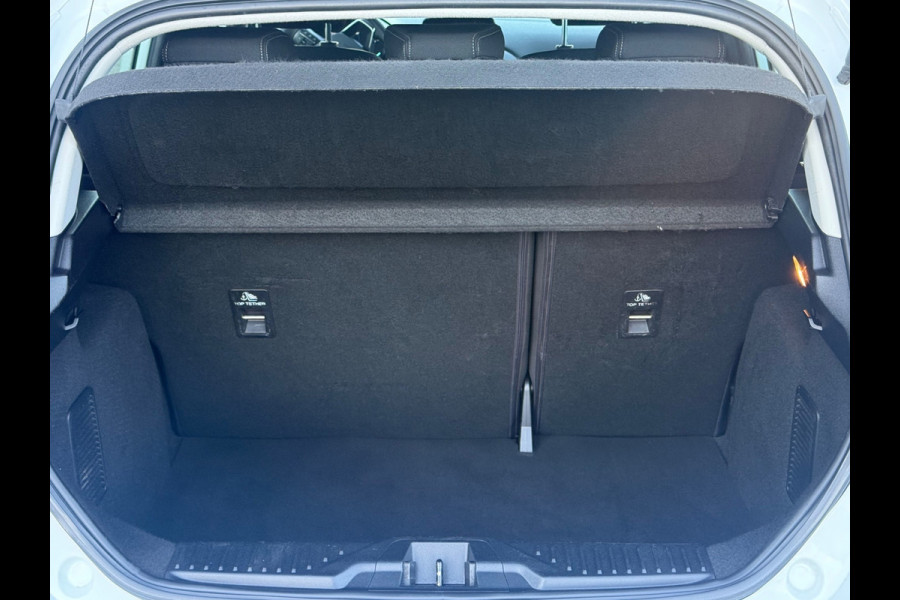 Ford Fiesta 1.0 EcoBoost 125 pk Hybrid Titanium, achteruitrijcamera, airco, NL auto met nap