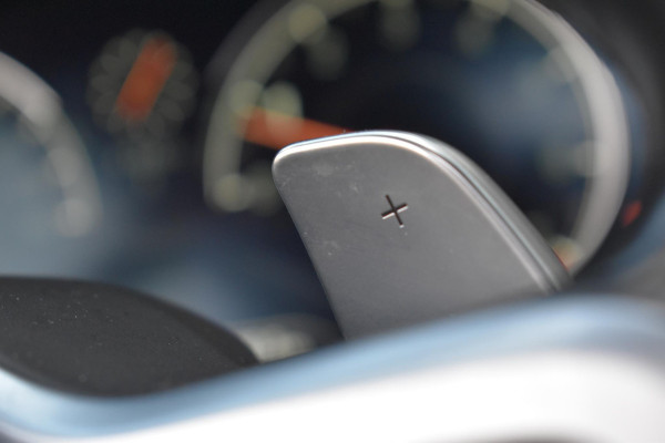 BMW X4 xDrive20i High Executive Edition M-Sport Pano Camera HK