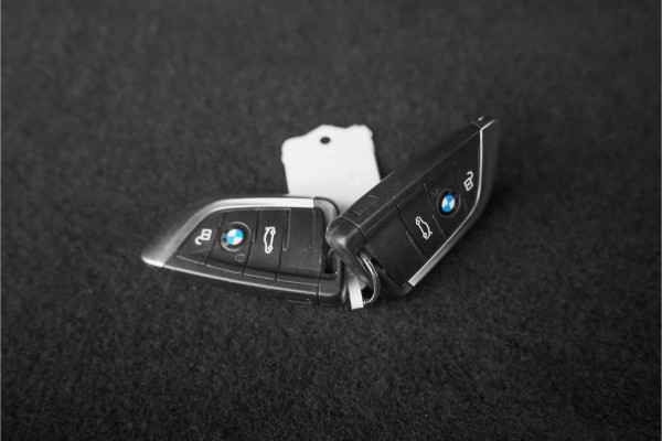 BMW X2 sDrive18i Automaat Sportstoel Stoel & Stuurverw Trekhaak