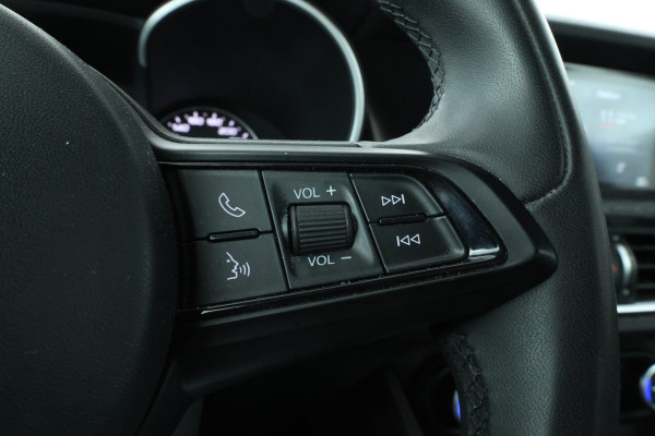 Alfa Romeo Stelvio 2.2d Super Automaat, Navigatie, Leer, Climate,