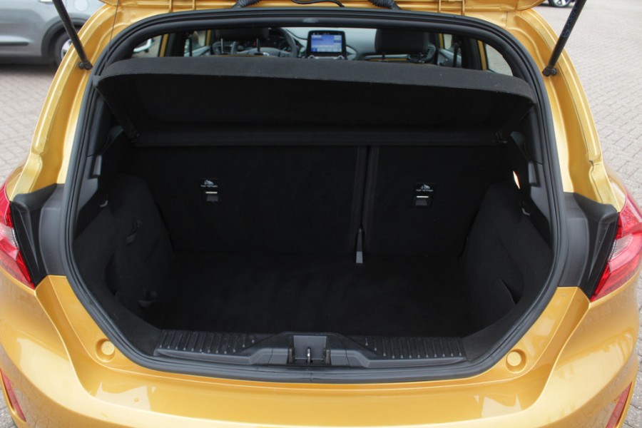 Ford Fiesta 1.0 EcoBoost Active First Edition Panoramadak / Parkeerhulp achter / Navigatie / DAB / ACC / Keyless