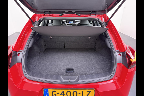 Lexus UX 250h Business Line | RIJKLAARPRIJS incl. 12mnd BOVAG GARANTIE