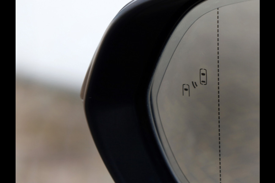 Lexus RX 450h+President Line