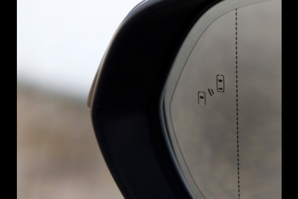 Lexus RX 450h+President Line