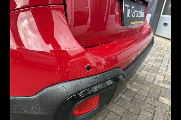 Fiat Panda Cross 1.0 Hybrid Pandina