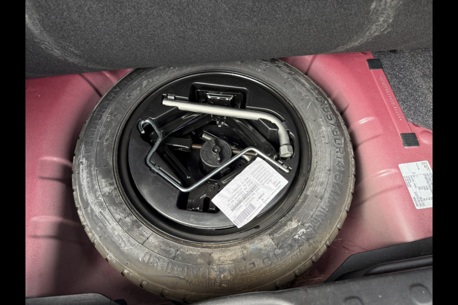 Fiat Panda Cross 1.0 Hybrid Pandina