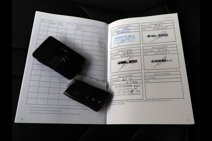 Lexus ES 300h F Sport Line | 360 Camera | Premium Navi | Dodehoek