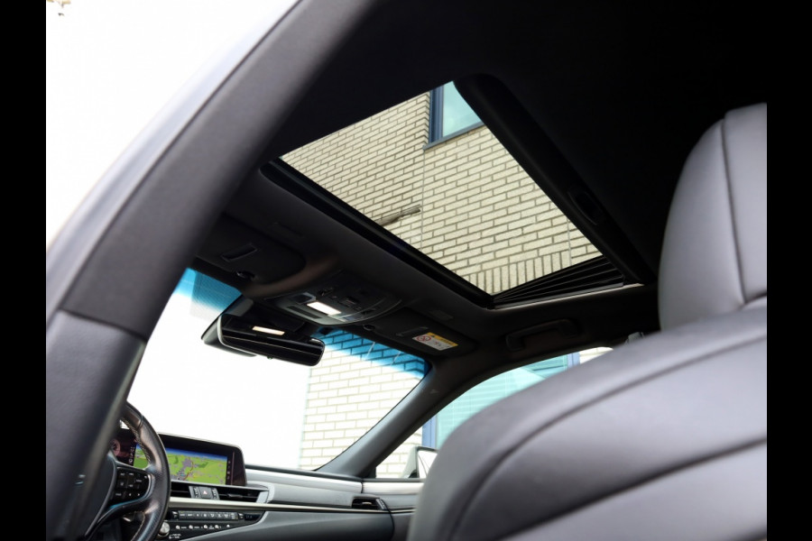 Lexus ES 300h F Sport Line | 360 Camera | Premium Navi | Dodehoek