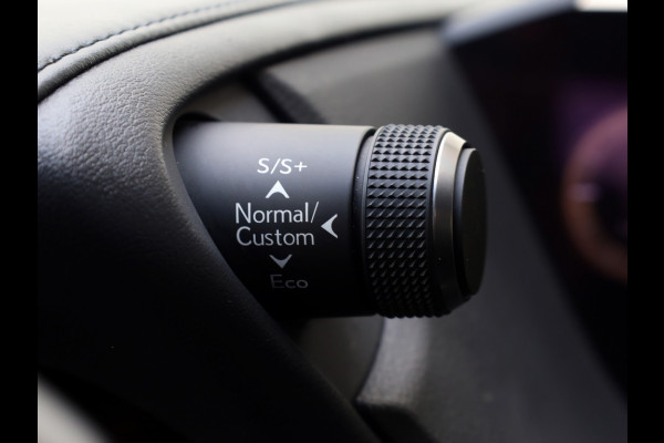 Lexus ES 300h F Sport Line | 360 Camera | Premium Navi | Dodehoek