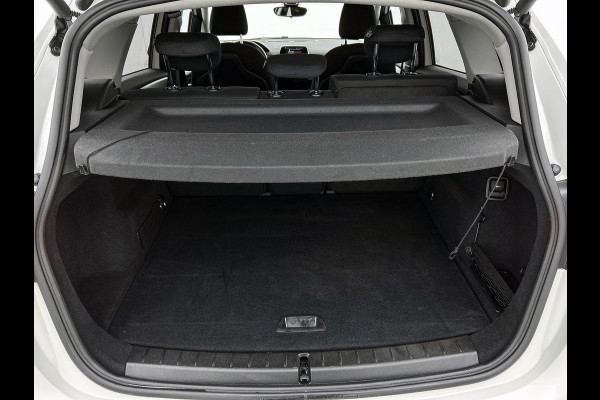BMW 2 Serie Active Tourer 216i Executive (NAVIGATIE, PARKEERSENSOREN, LED, STUURBEDIENING, GOED ONDERHOUDEN)