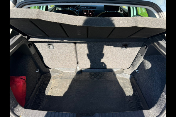 Seat Ibiza 1.0 TSI FR Business Intense | ACC + DAB + Camera Nu 10.975,-!!!