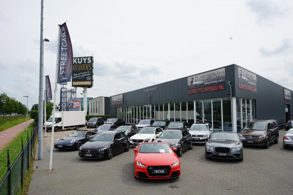 Volkswagen Polo 2.0 TSI GTI DSG 25 Edition /Pano /1e eigenaar