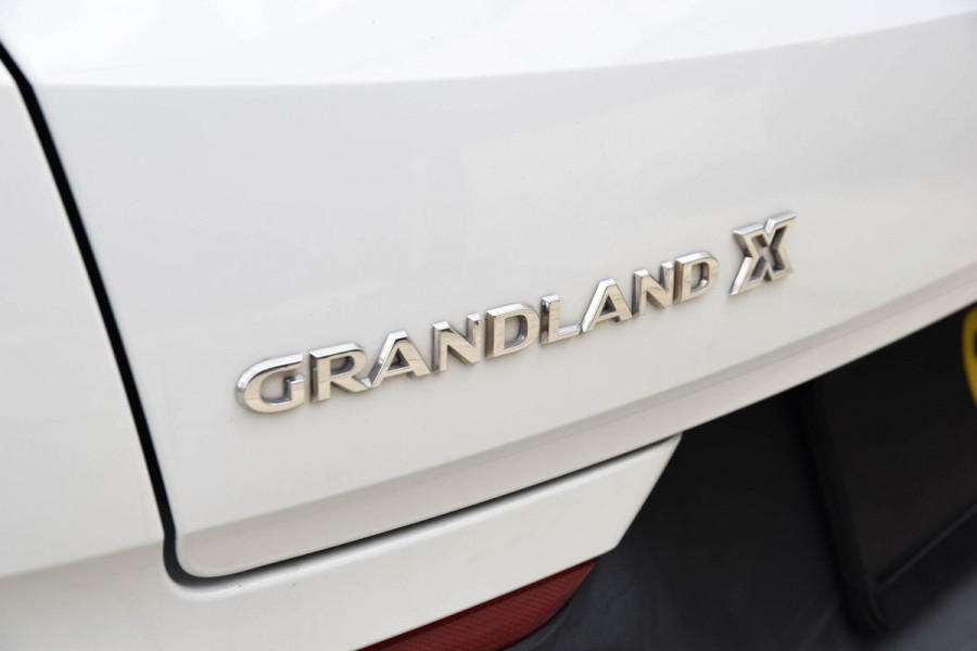 Opel Grandland X 1.2 Turbo Online Edition | D-riem vervangen | Cruise | Carplay | Navigatie