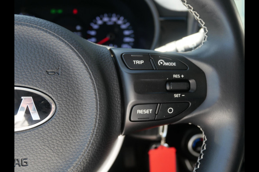 Kia Picanto 1.0 CVVT Design Edition | 16''LM | Leder | Navi | Cruise |