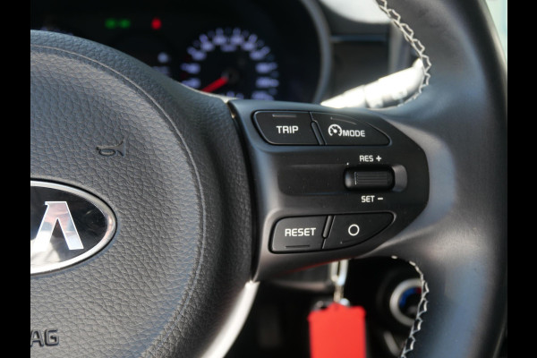 Kia Picanto 1.0 CVVT Design Edition | 16''LM | Leder | Navi | Cruise |