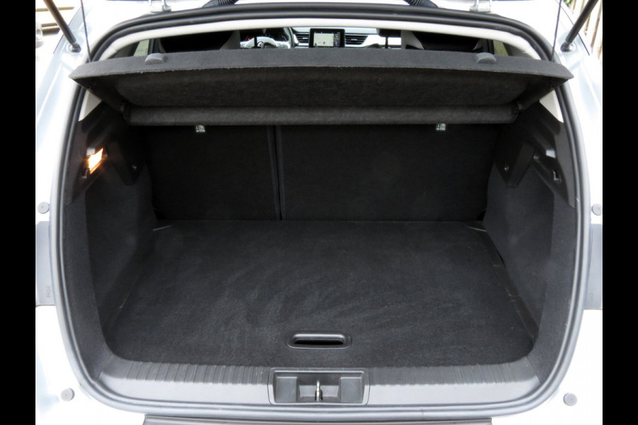 Renault Captur 1.0 TCe 100 Intens | CLIMA AIRCO | CRUISE CONTROL | DR RADIO |