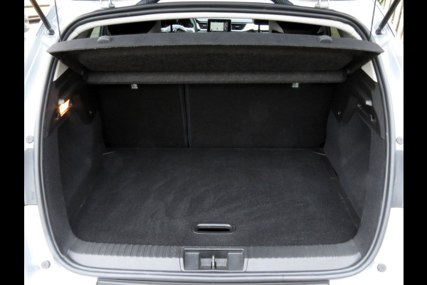 Renault Captur 1.0 TCe 100 Intens | CLIMA AIRCO | CRUISE CONTROL | DR RADIO |