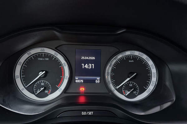 Škoda Kodiaq 1.5 TSI Business Edition (STOELVERWARMING, CAMERA, NAVIGATIE CARPLAY, CRUISE CONTROL ADAPTIEF, PARKEERSENSOREN)