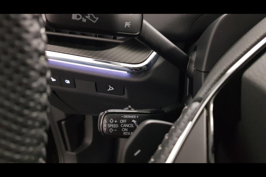 Škoda ENYAQ iV 80 Sportline Navigatie Climate Control Cruise Control Camera | 21"